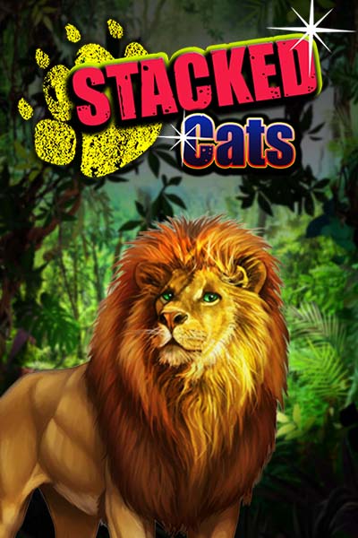 Stacked Cats
